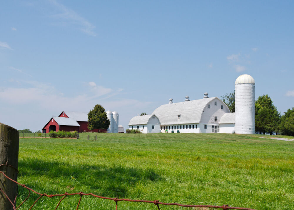 14. Maryland
